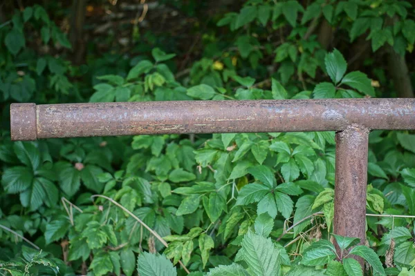 Part Old Rusty Brown Iron Pipe Railings Street Overgrown Green — Stockfoto
