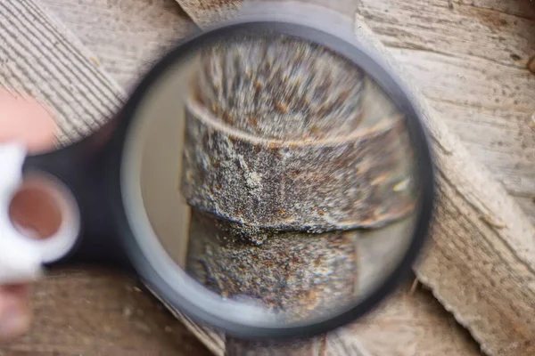 Magnifier Hand Magnifies Little Brown Rusty Iron Pipe Street — Fotografia de Stock