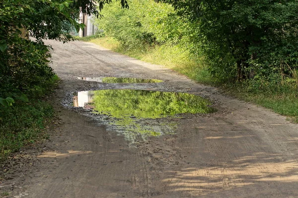One Big Puddle Dirty Water Gray Earth Rural Road Green — Fotografia de Stock