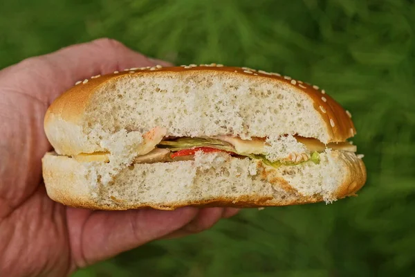 Hand Holds One Bitten Cheeseburger Street Background Green Vegetation — Foto de Stock