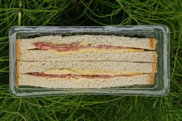 a sandwich of cheese bread and sausage in plastic packaging lies in green vegetation in nature