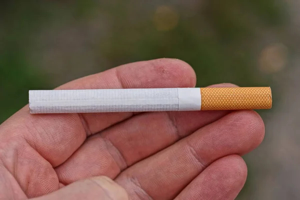 Fingers Hand Hold One White Cigarette Brown Filter Outdoors Green — Stockfoto