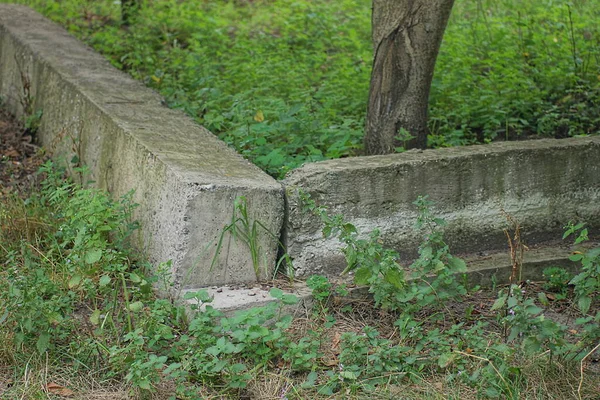 Eski Gri Beton Bir Temelin Parçası Sokakta Yeşil Çimlerle Kaplanmış — Stok fotoğraf