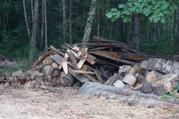 Pile Firewood Wooden Boards Logs Outdoors Ground Trees — Stockfoto