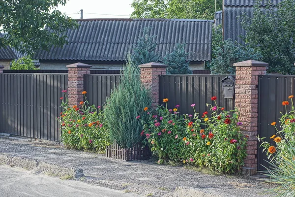 Flowers Grass Green Coniferous Ornamental Trees Brown Brick Metal Fence — Stockfoto