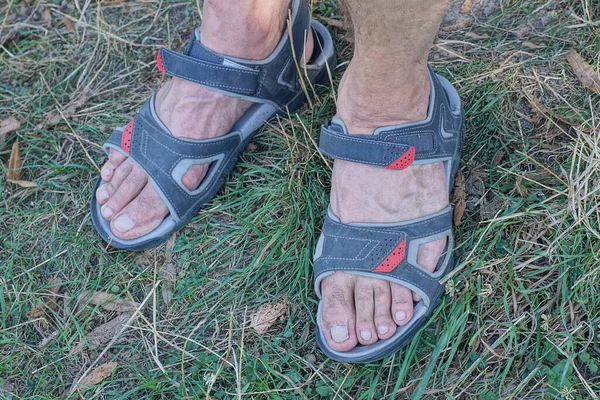 two gray sandals on the feet of a man stands in green grass in nature