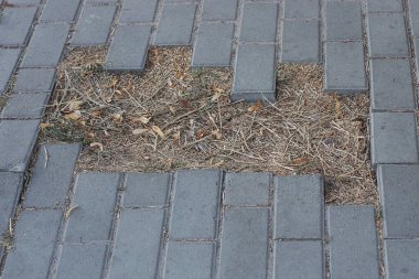 part of a broken pavement made of gray bricks with a large hole with dry grass on the street