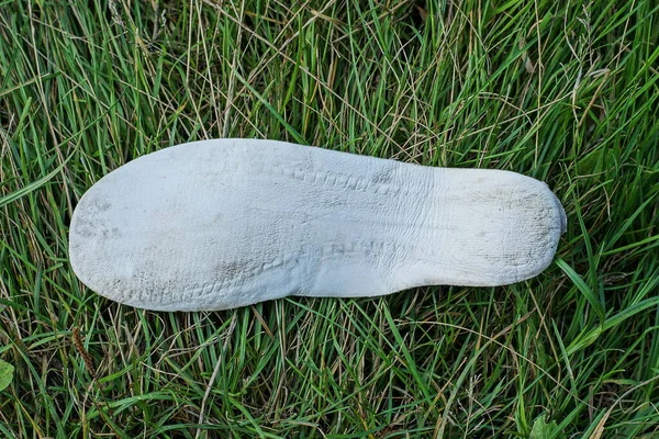 one white dirty plastic shoe insole lies on green grass in nature