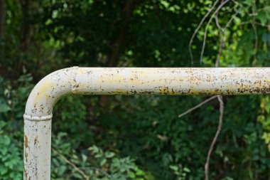 Uzun sarı gri gaz borusu yeşil bitki örtüsü ve çimlerle kaplanmış.