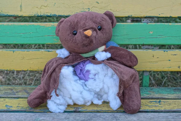 One Old Brown Torn Toy Teddy Bear Big Hole White — стоковое фото