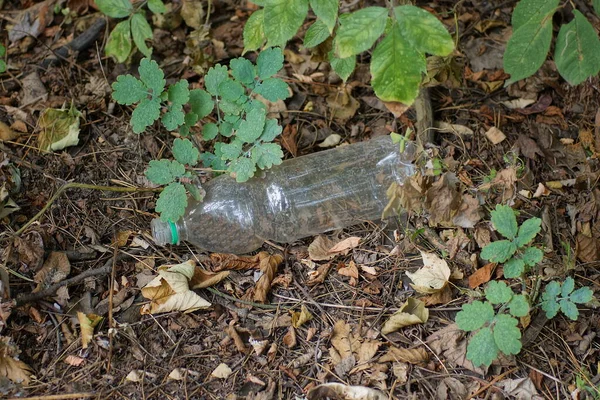 Basura Una Vieja Botella Plástico Blanco Yace Sobre Hojas Secas —  Fotos de Stock