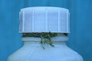 Eski beyaz plastik şişenin bir parçası. Mavi arka planda yeşil yosun parçaları olan büyük bir mantarla kapatılmış.