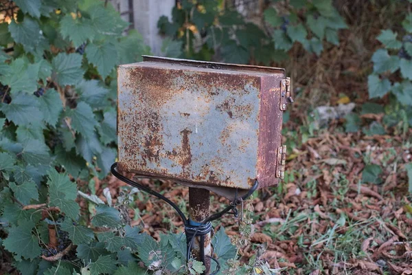 one gray old metal box in brown rust for electric wires on the street in green vegetation