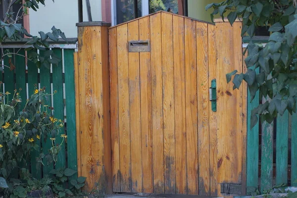 Bir Kapalı Kahverengi Ahşap Kapı Yeşil Bir Çit Duvarda Kırsal — Stok fotoğraf