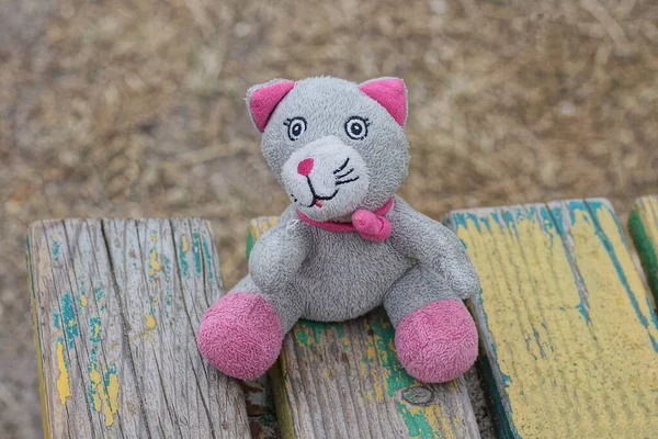 Jouet Chat Peluche Rouge Gris Assis Sur Banc Bois Coloré — Photo