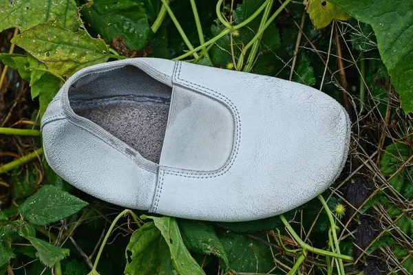 Una Pequeña Zapatilla Cuero Blanco Encuentra Las Hojas Verdes Una —  Fotos de Stock