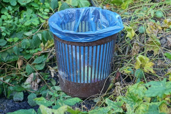 one brown plastic trash can with a blue plastic bag stands in green vegetation with leaves in nature