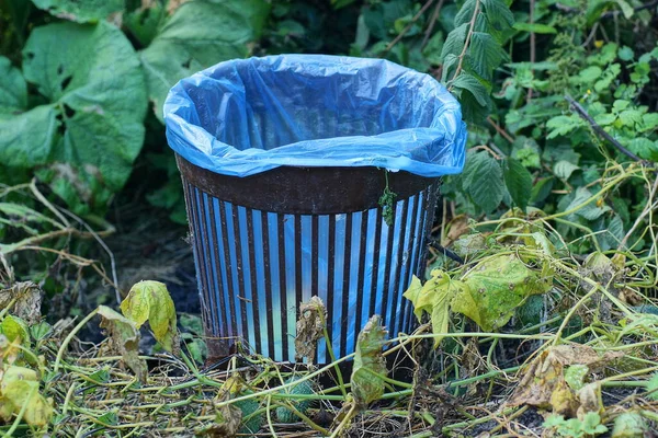 一个带蓝色塑料袋的棕色塑料垃圾桶矗立在绿树成荫的植物中 叶子在自然界中 — 图库照片