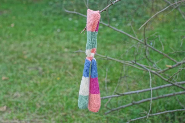 one colored woolen scarf hangs on a gray branch of a bush in nature against a background of green grass