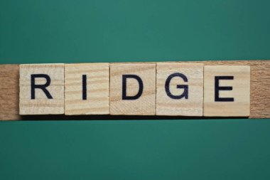 Kelime sırtı küçük gri ahşap harflerden yapılmış yeşil kağıt arka planda