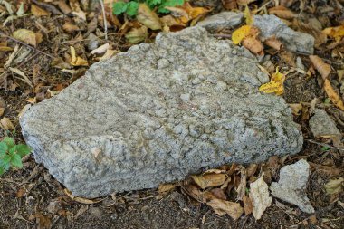 Büyük gri bir beton parçası kuru yaprakların içinde yerde yatıyor.