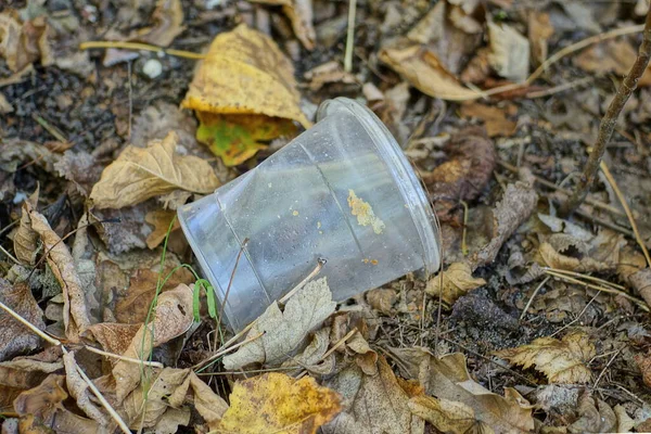 Lixo Copo Plástico Branco Jaz Grama Folhas Secas Caídas Natureza — Fotografia de Stock