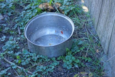 boş, büyük, kirli bir metal tencere yerde ve sokaktaki yeşil bitki örtüsünde duruyor.