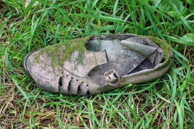 Doğadaki çimlerin üzerinde yeşil yosunlarla kaplanmış eski, yırtık deri bir sandaletin çöpleri.