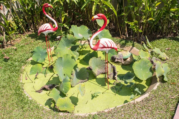 Flor de nenúfar — Foto de Stock