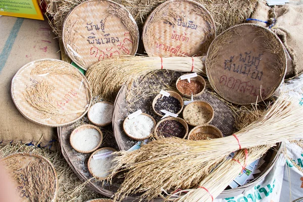 Paddy rice,brown rice,white rice — Stock Photo, Image