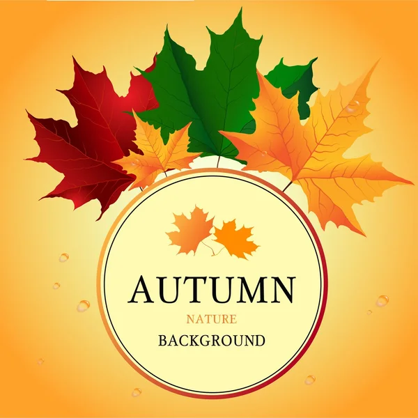 Autumn background with leaf — Stock Vector