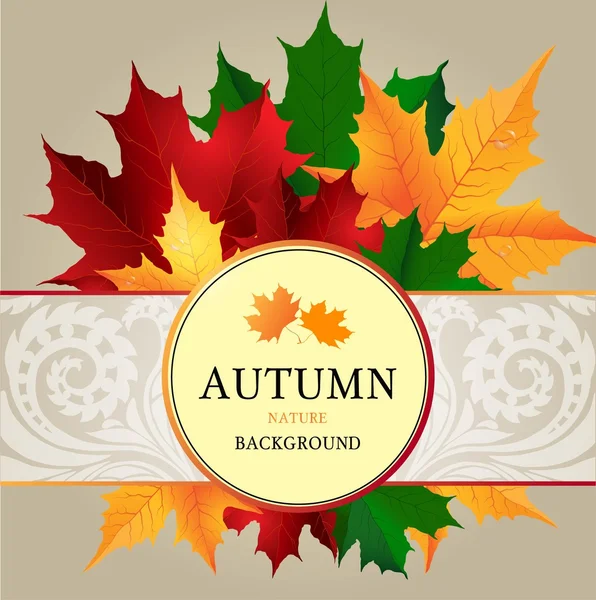 Autumn background grey — Stock Vector