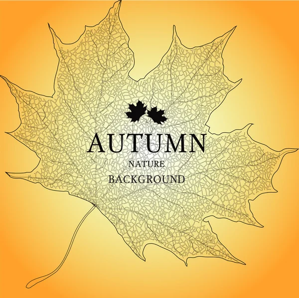 Autumn background — Stock Vector