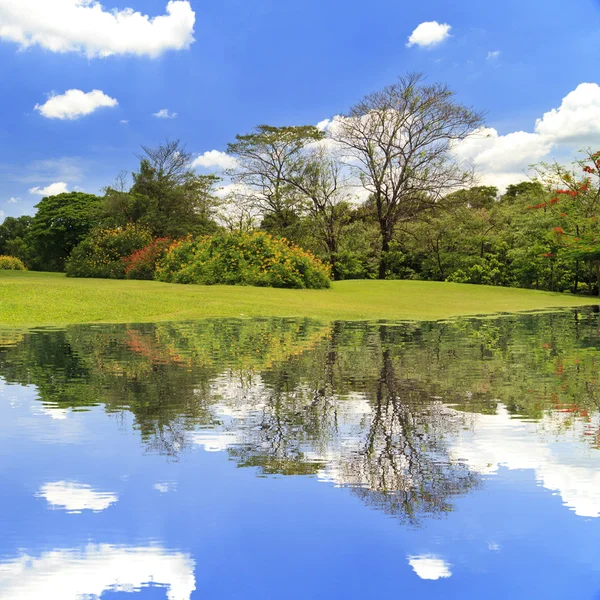 Jezero v parku a modré nebe — Stock fotografie