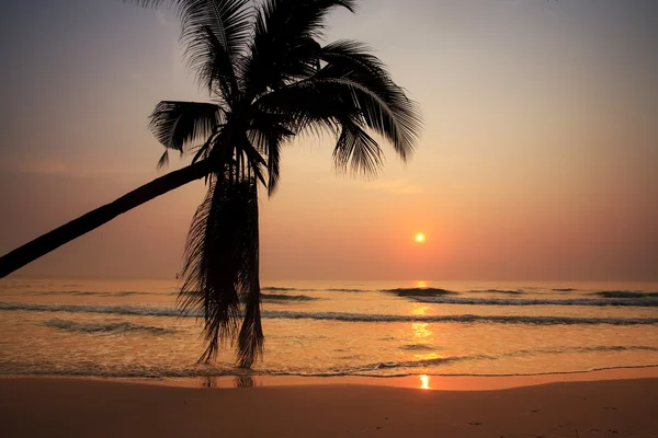 Spiaggia tropicale all'alba — Foto Stock