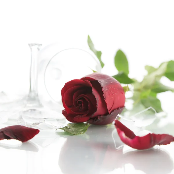 Red rose and broken glass of wine on white background — Stock Photo, Image