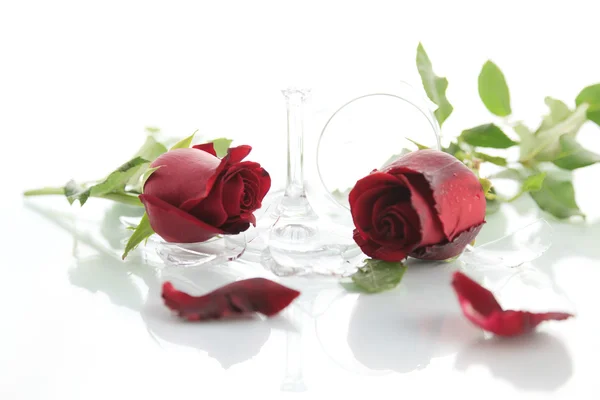 Red rose and broken glass of wine on white background — Stock Photo, Image