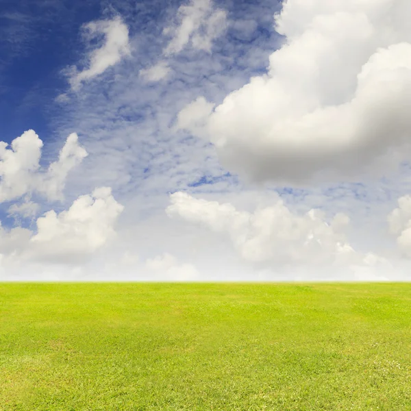 Grünes Grasfeld und blauer Himmel — Stockfoto