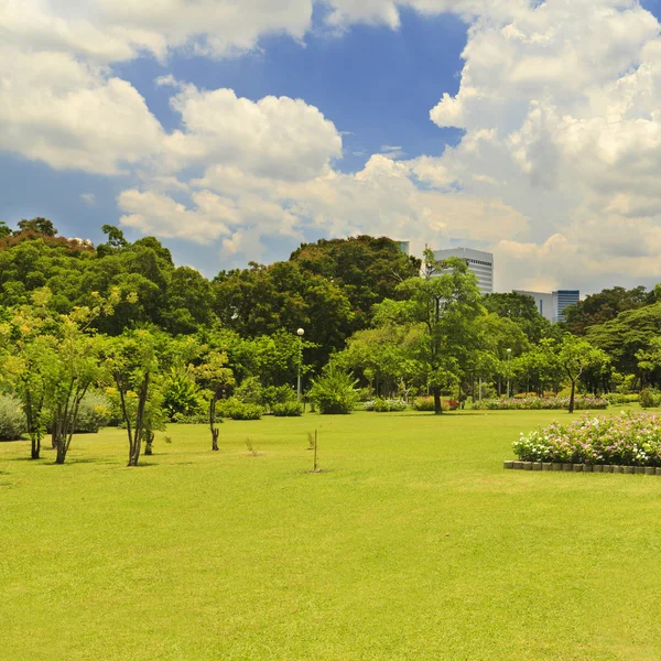 Césped verde y árboles en el jardín — Foto de Stock