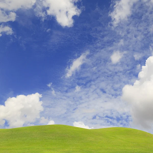 Green grass and blue sky — Stock Photo, Image