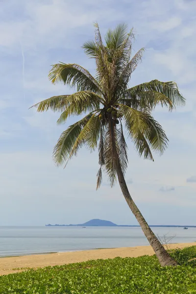 Gyönyörű trópusi strand Thaiföldön — Stock Fotó