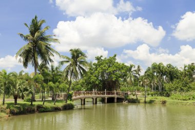 Park ve mavi gökyüzü