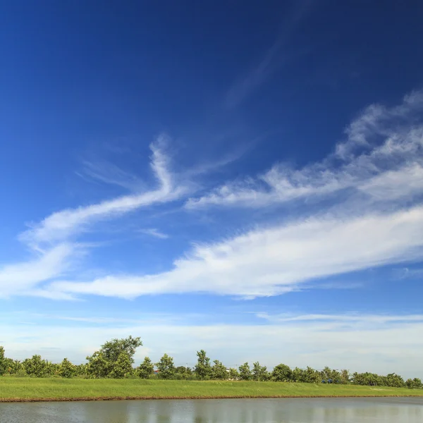 Paisaje de verano en el campo con cielo azul —  Fotos de Stock