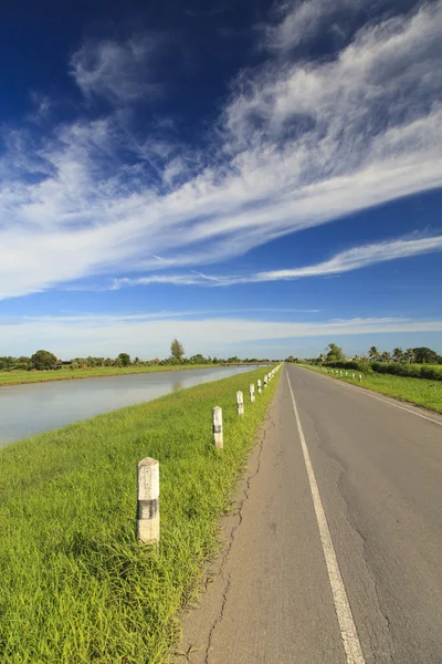 Summer landscape — Stock Photo, Image