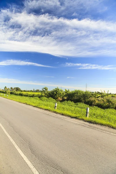 Zomer landschap — Stockfoto