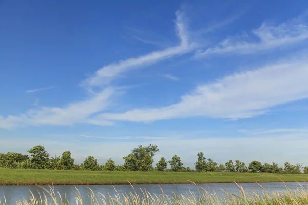 Zomer landschap — Stockfoto