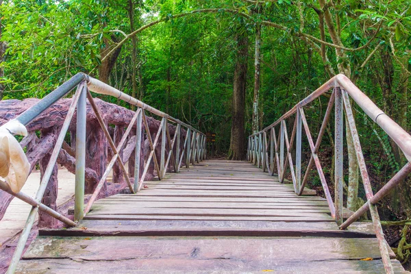 Passarela ponte de madeira nas florestas — Fotografia de Stock