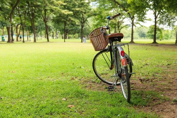 公園内の自転車 — ストック写真