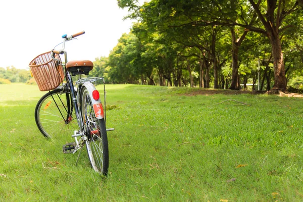 Bicycles in the park — Stock Photo, Image