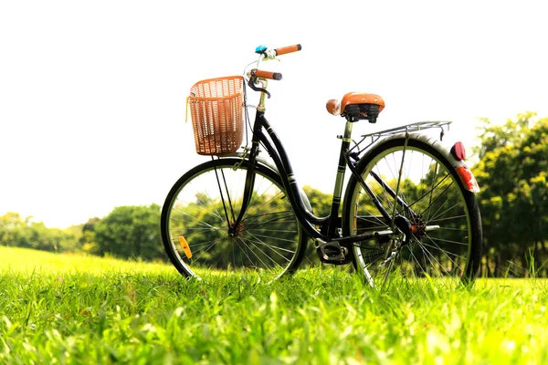 公园里的自行车 — 图库照片